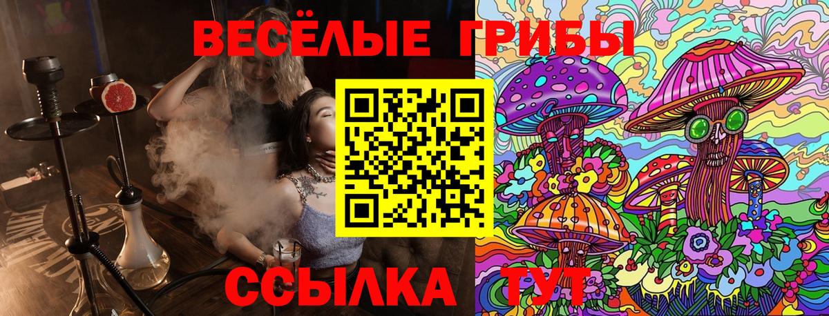 Псилоцибиновые грибы мицелий  Вход с VPN  продажа наркотиков  Борисоглебск 